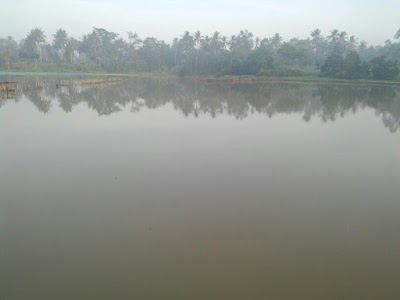 Photos of Danau Patiali