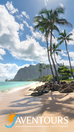 Aventours Allende - Thumbnail