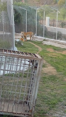 Bahria Town Zoo rawalpindi