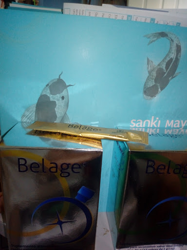 Sanki - Visual