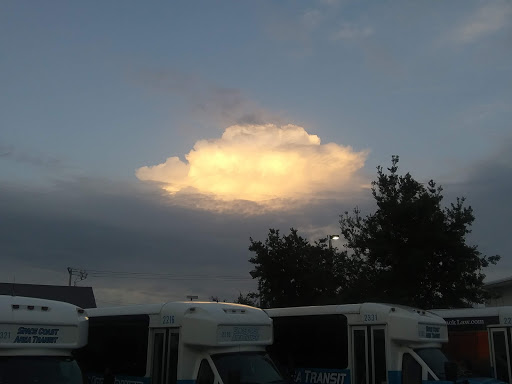 Brevard County Transit Services - Thumbnail