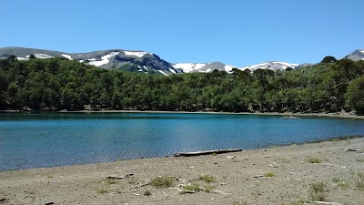 Photos of Villarrica National Reserve