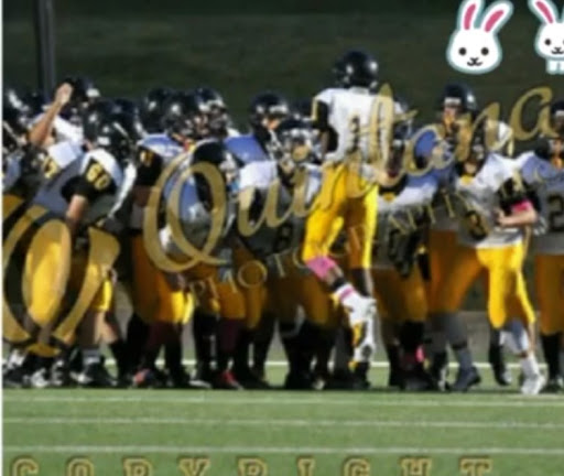 Forney High School - Visual