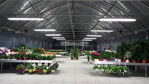 Magia dei Fiori