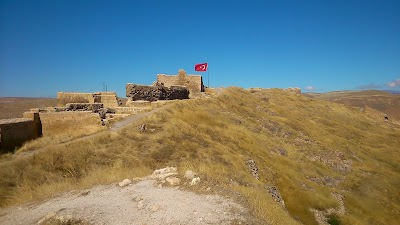 Photos of Bayburt Castle