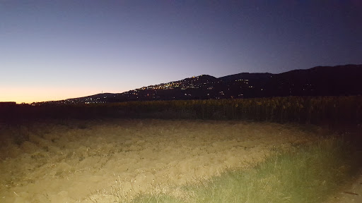 Ellepi - Visual