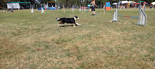 Photo n°14 de Éducation Canine De Saint Genix/ Guiers à Saint-Genix-les-Villages (Dresseur pour chiens)