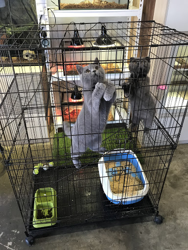 Pet Village Sejati Corporate Garden HQ