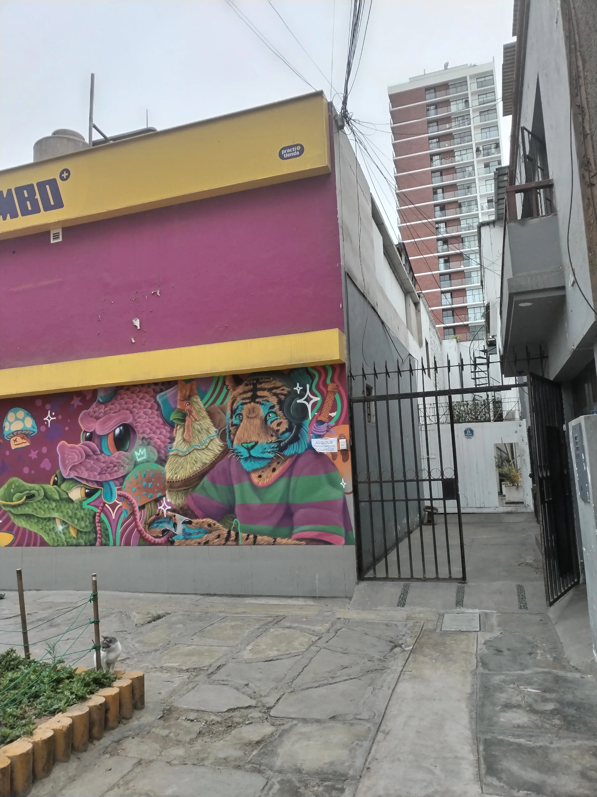 Casa de huéspedes Solé Barranco