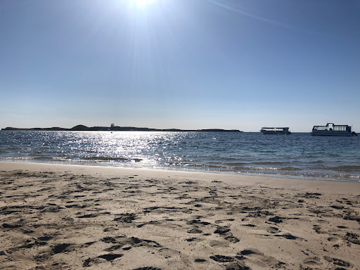 Shoalwater Foreshore - Mersey Point