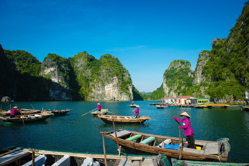 TripCompanion Tours - Thumbnail