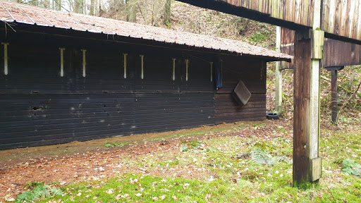 Freilichtdom - Thumbnail