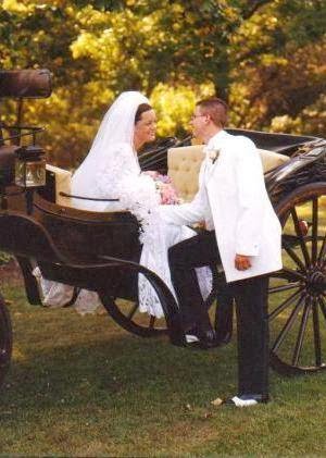 Buggies and Things Horse Drawn Carriage Service - Thumbnail