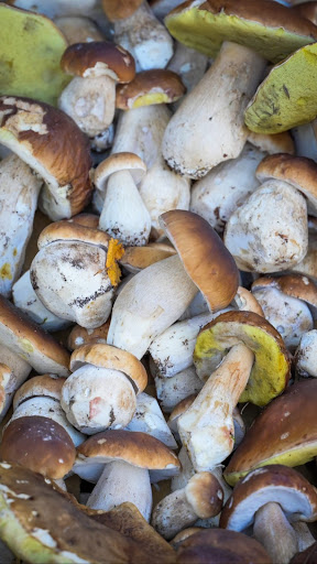 Photo 1 - Symbiose restaurant