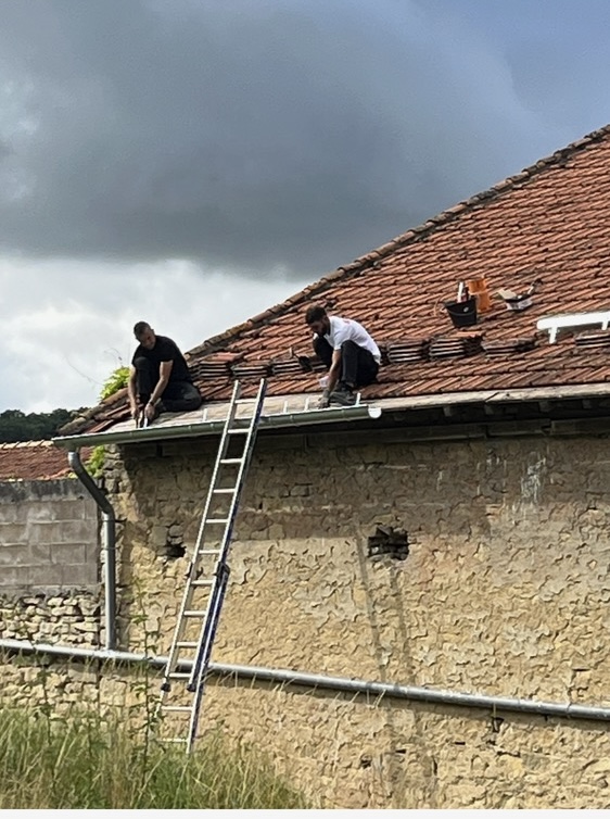 Expert Protect Fils - Spécialiste En Etanchéité