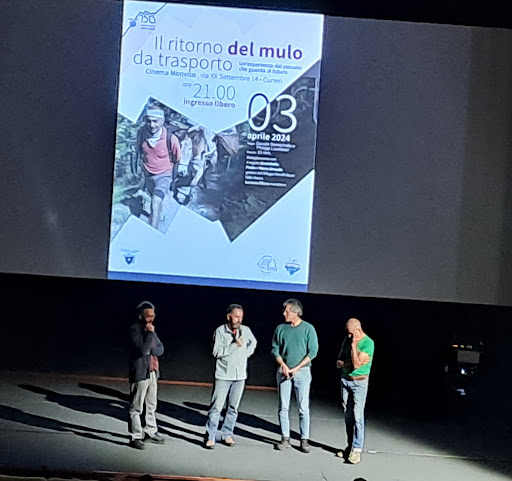 Cinema Monviso - Visual