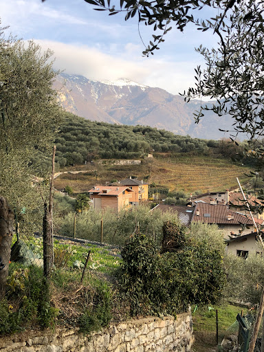 Chiarano - Visual
