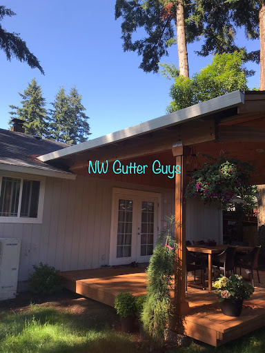 NW Gutter Guys - Visual