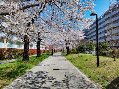 くめがわ電車図書館 Tokyo 81 42 394 2900 Japan