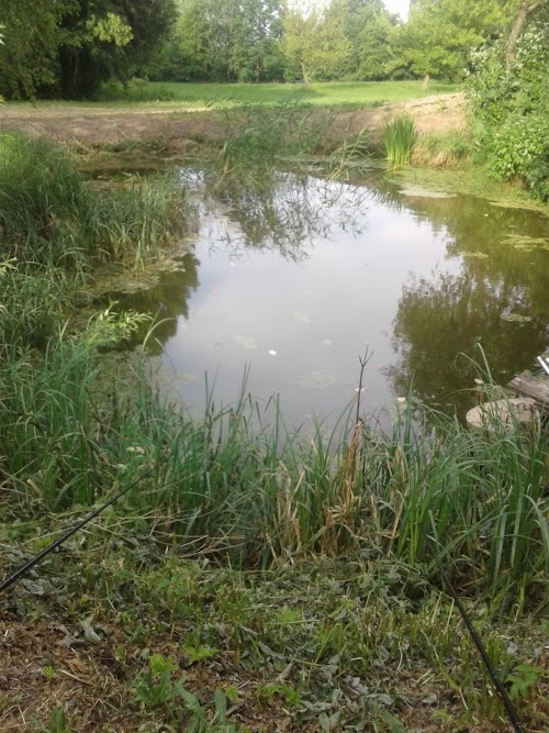 Kumelionių piliakalnis