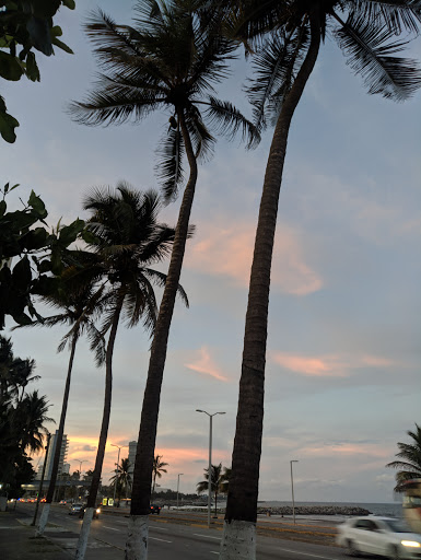 Playa Los Arcos - Thumbnail