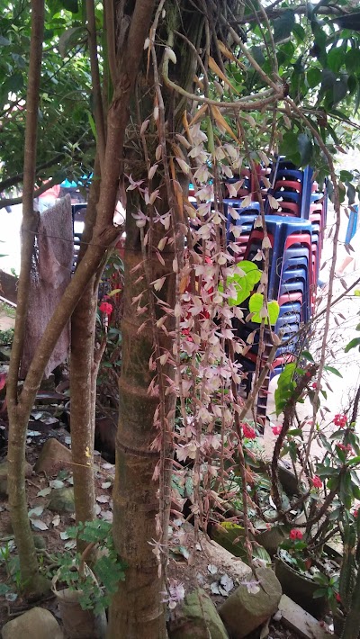 Photos of Hongthong Guesthouse