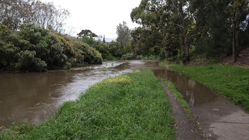 Merri Park - Thumbnail