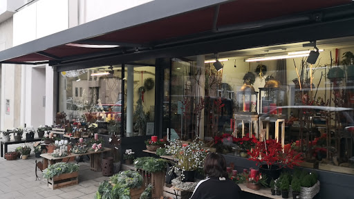 Blumen Atelier Armin Schlegel