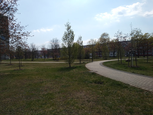Schwedt, Lindenallee - Thumbnail