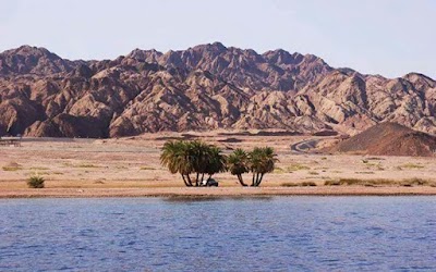 Photos of Sinai Peninsula