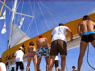 Photo n°20 de Catamaran NAVIVOILE à Canet-en-Roussillon (Organisateur d'excursions d'observation des baleines)