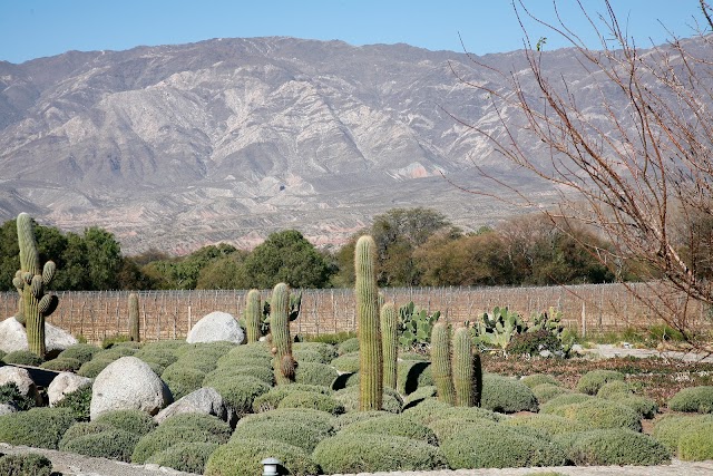 Estancia Colome