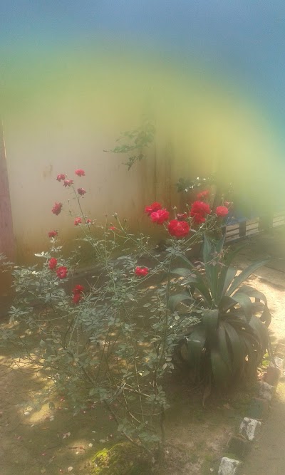 Photos of Akhaura Upazila Office