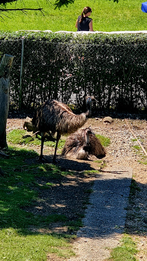 Zoologische Station Eichberg - Thumbnail