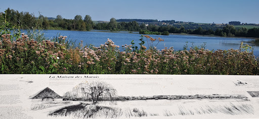 Photo de Randonnées dans les Marais de Long, Longpré-les-Corps-Saints