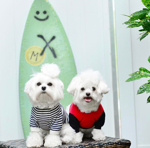 Ruff Stitched - Visual