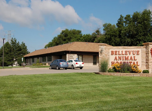 Bellevue Animal Hospital PC - Thumbnail