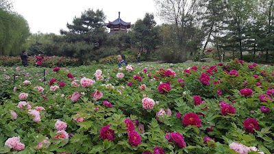 Photos of Sui-Tang Site Botanical Garden （West Gate）