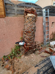 Photo n°14 de L.N Services et Jardinage à Villelongue-de-la-Salanque (Paysagiste)