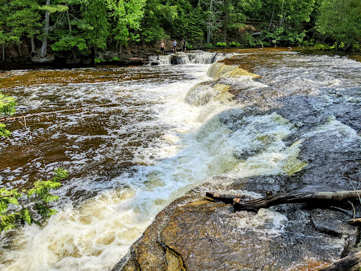 Tahquamenon State Park - Lower Falls Hemlock - Thumbnail