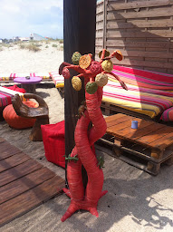 Photo n°62 de Baobab Paillote à port leucate (Restaurant)