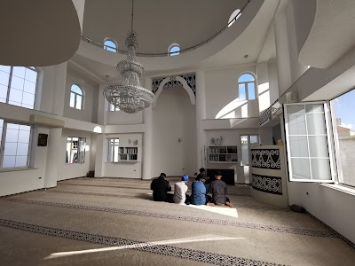 Джамия Шкодра