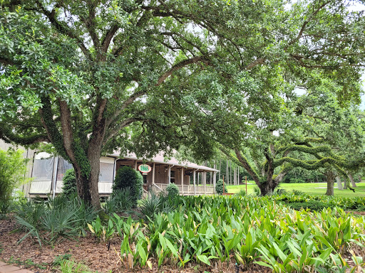 TABASCO Factory Tours - Thumbnail