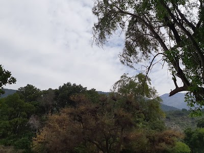 Photos of Camping El Peral