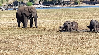 Photos of Kasika Conservancy