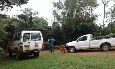 Photos of Kakamega Forest National Reserve