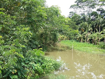 Photos of Mrridha Bari, Baramasua