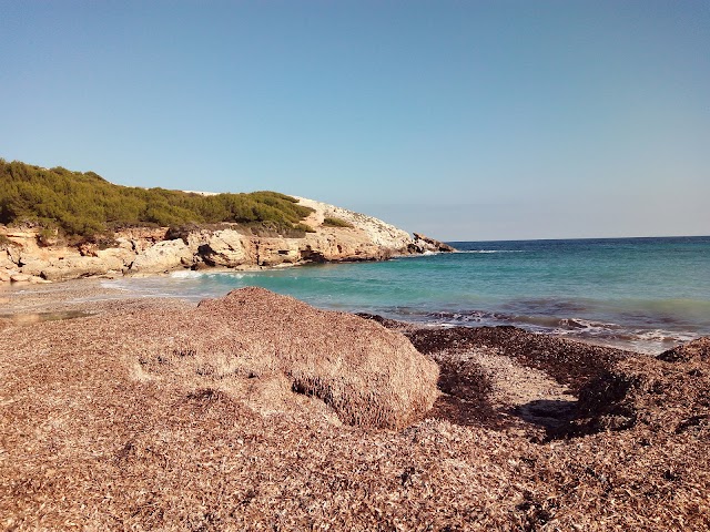 Cala Matzoc