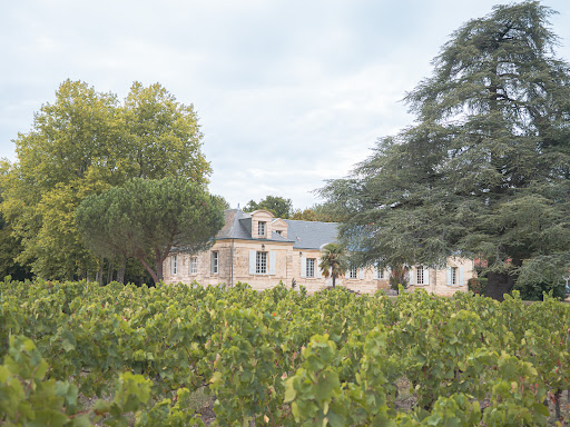 Photo de La Charmeraie à Thésée (41140)
