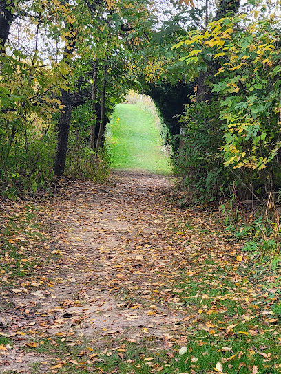 Darrell A Adkins Psy.D, LMFT